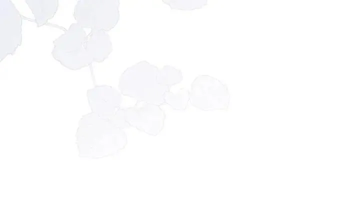 第18话 第143页