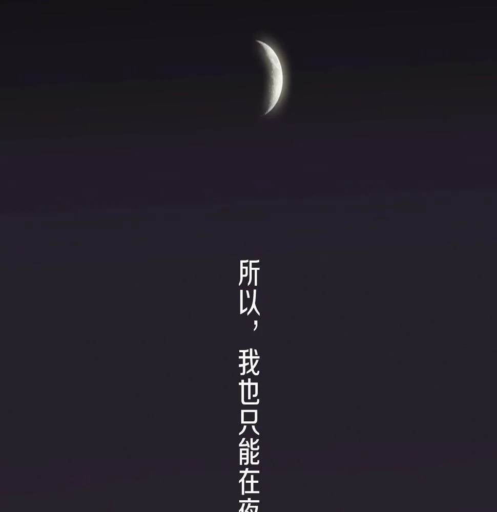 第2季第22话陷入爱情 第153页