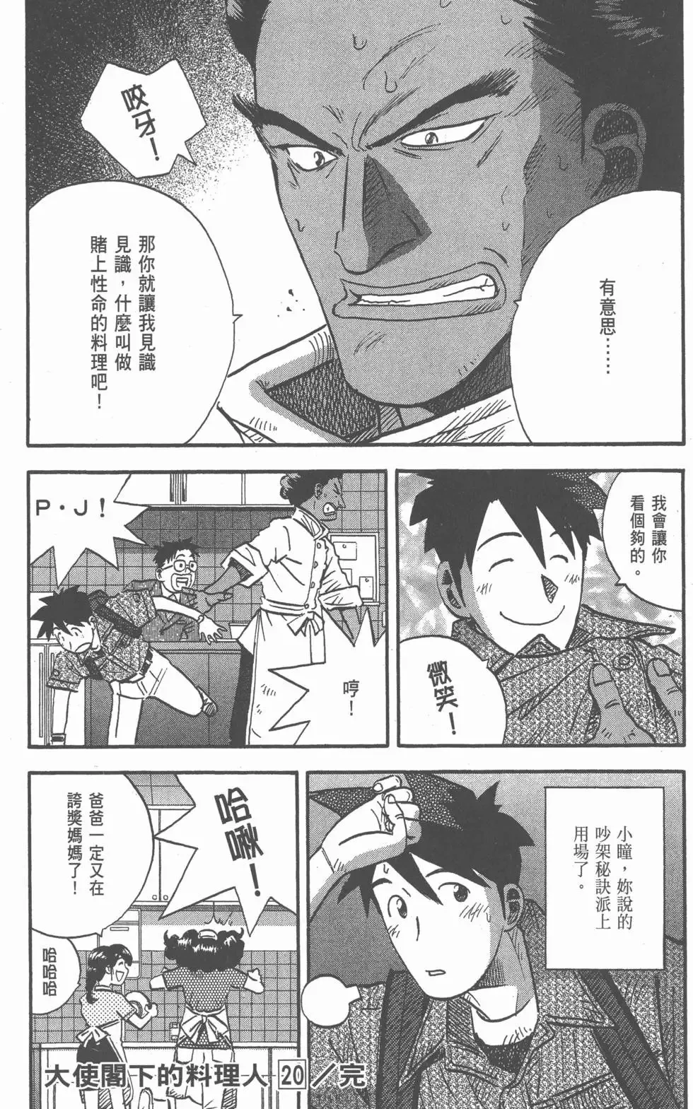 第20卷 第223页