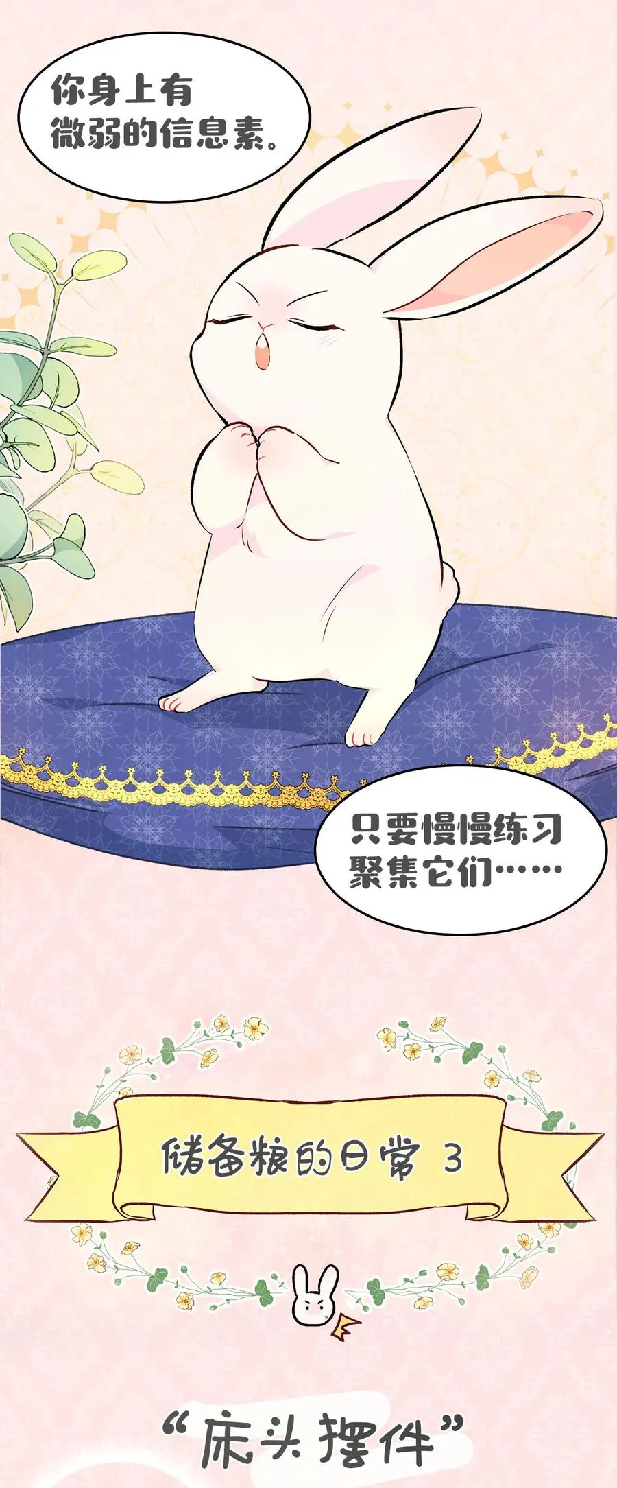 兔兔自传 评论送福利啦！ 第11页