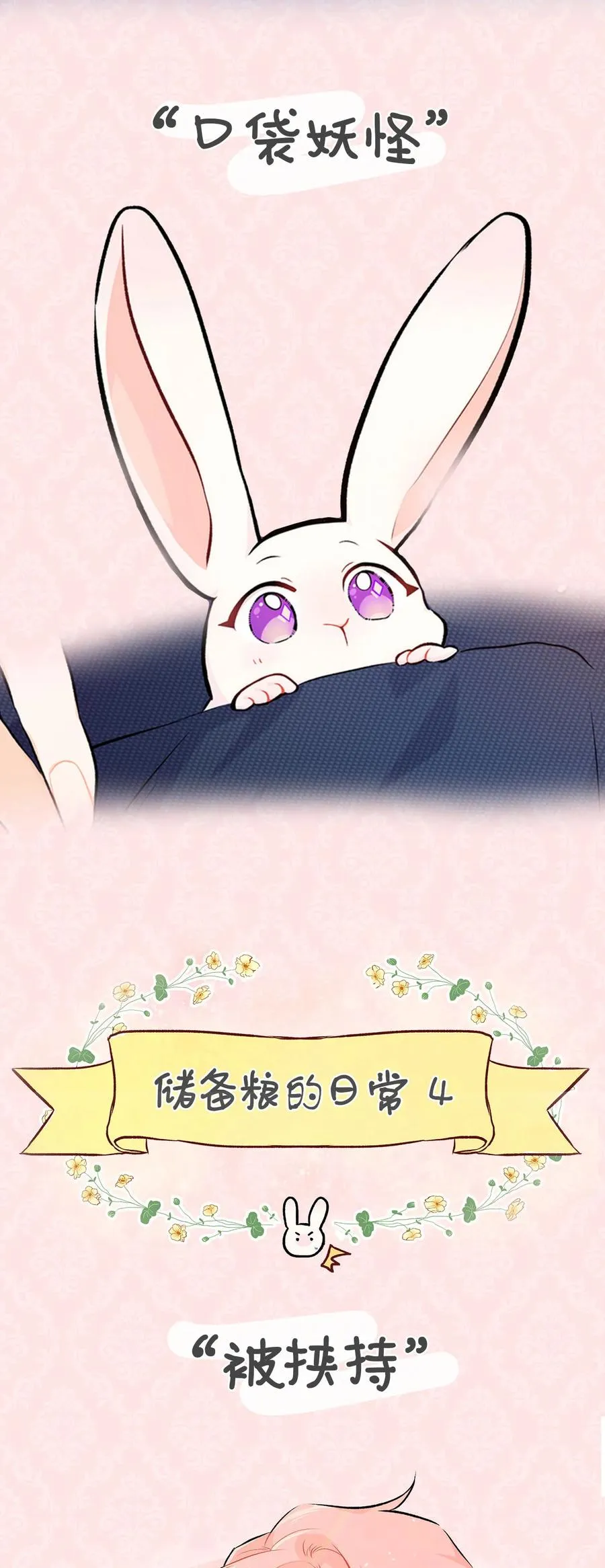 兔兔自传 评论送福利啦！ 第13页