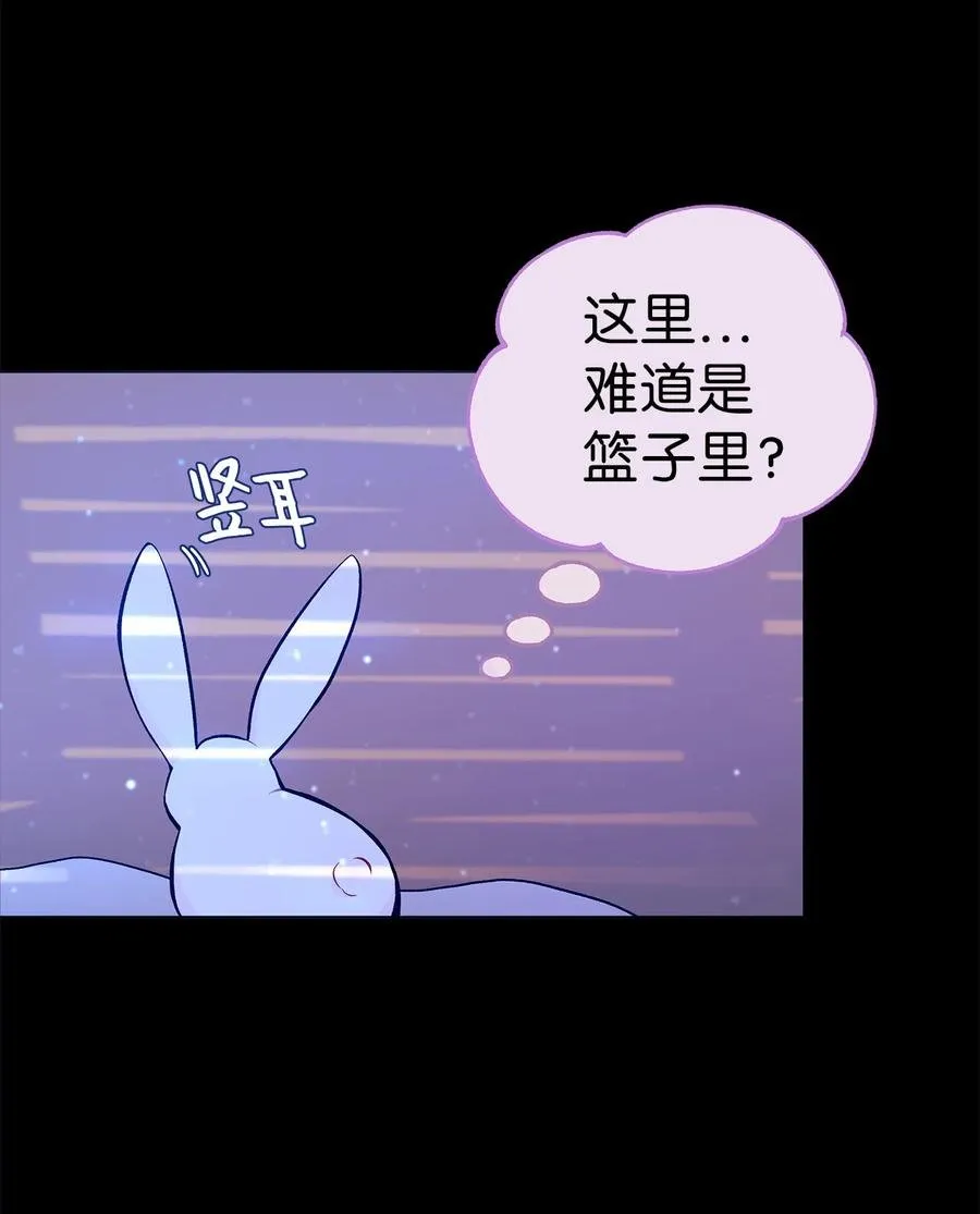 01 哭泣的兔子 第4页