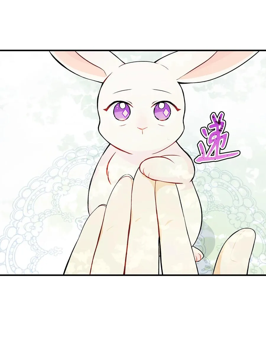 05 合口味的兔子 第17页