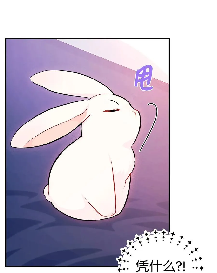05 合口味的兔子 第65页