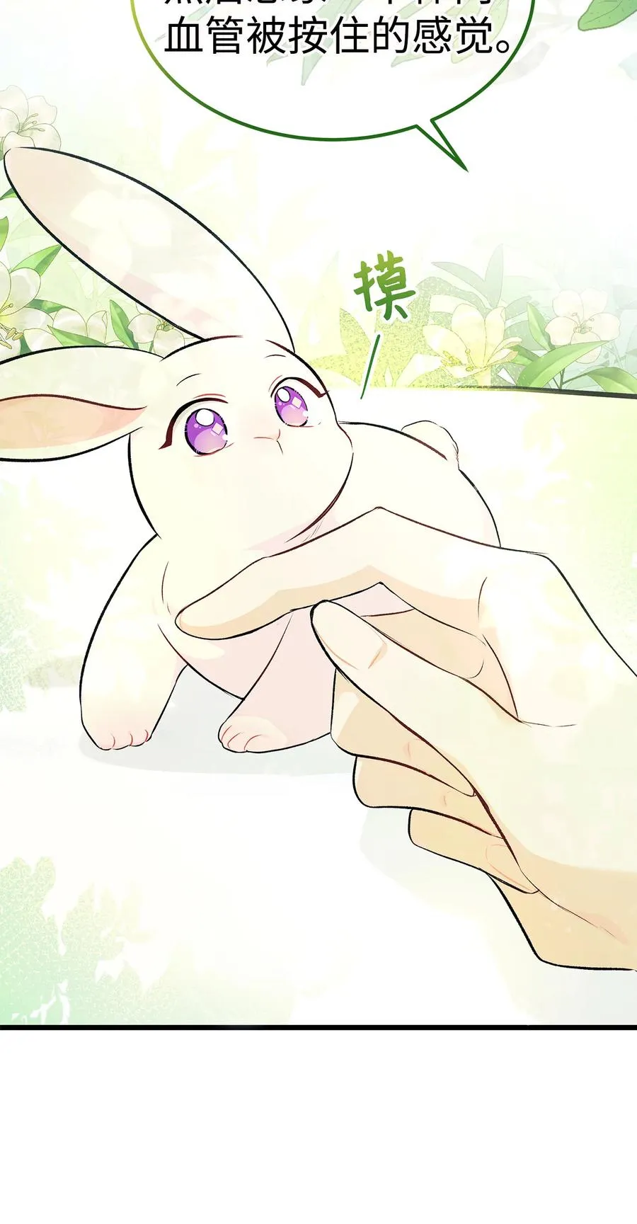 06 兔界拳王 第11页