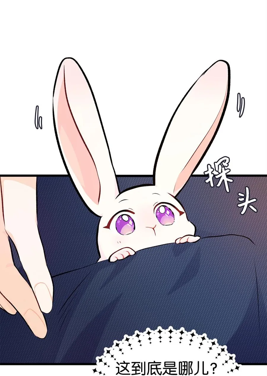 06 兔界拳王 第57页