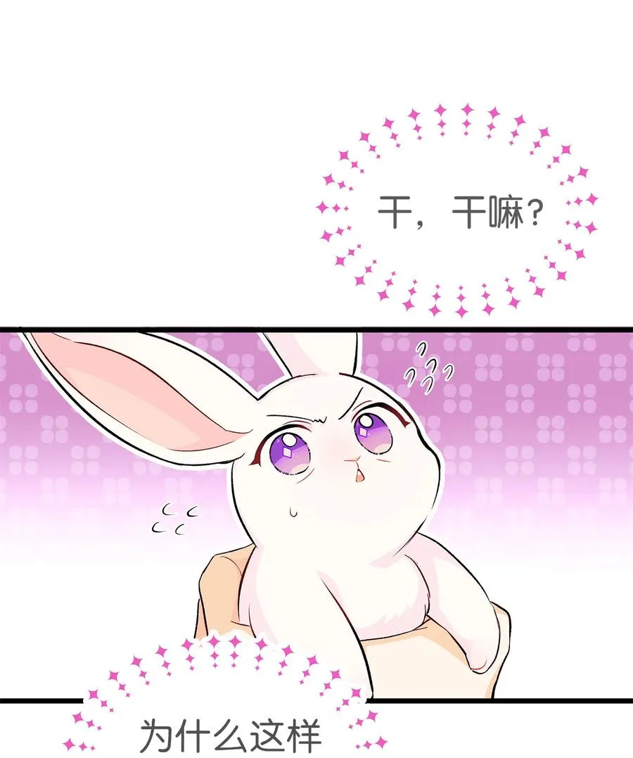 09 放开我的兔子 第3页