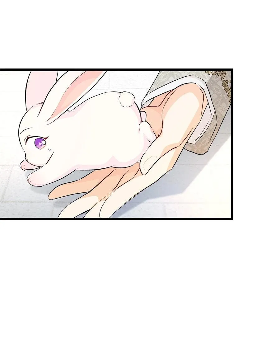 09 放开我的兔子 第19页