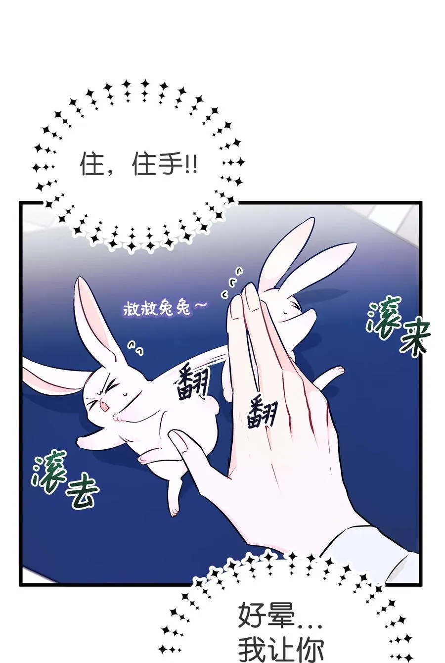 10 兔兔大变活人！ 第21页