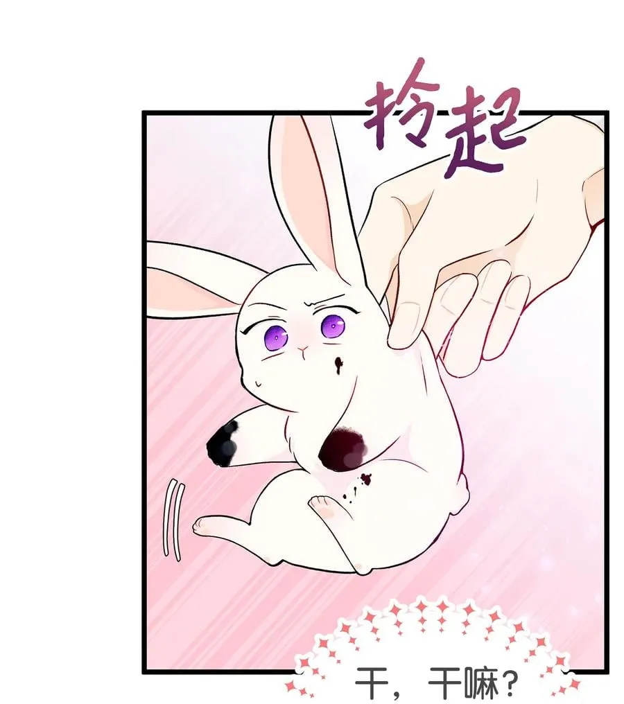 10 兔兔大变活人！ 第61页