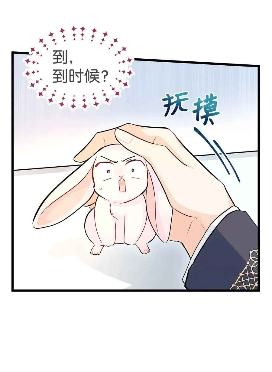 11 兔兔小剧场 第41页