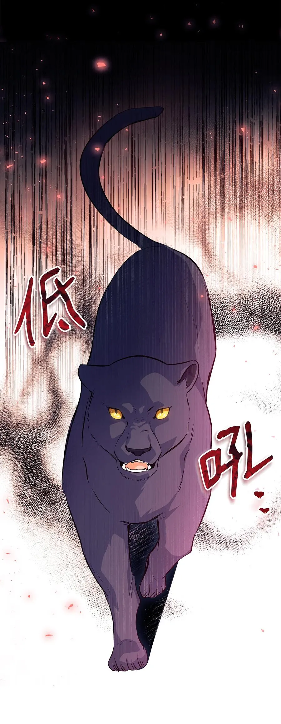 12 兔兔的身世 第49页