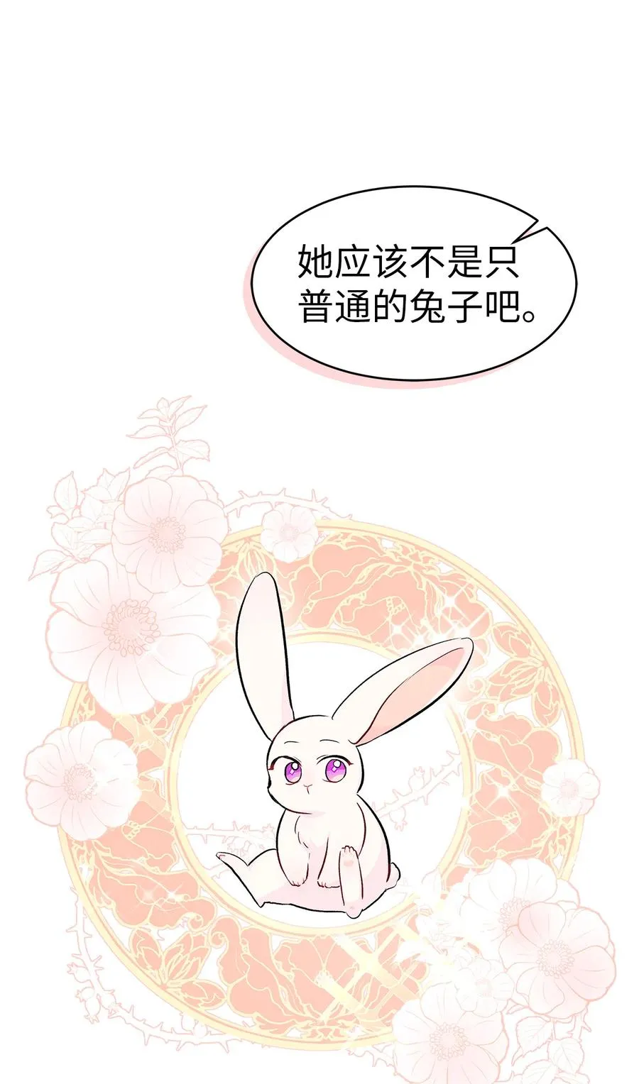 12 兔兔的身世 第58页