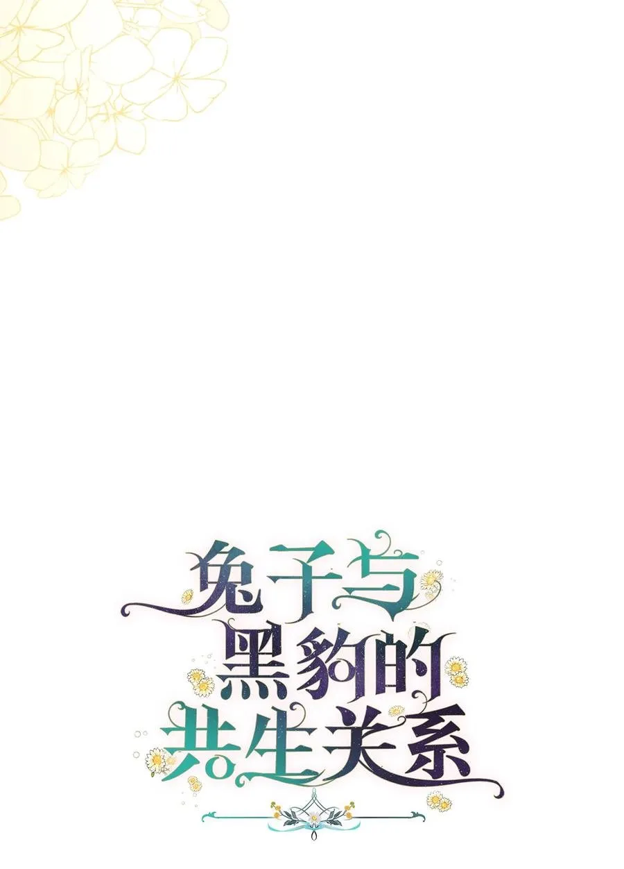16 兔与豹的秘密暗号 第5页