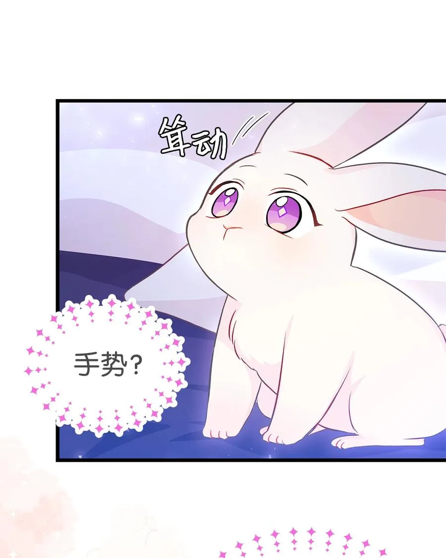16 兔与豹的秘密暗号 第8页