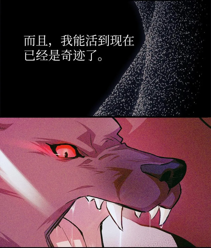 16 兔与豹的秘密暗号 第36页