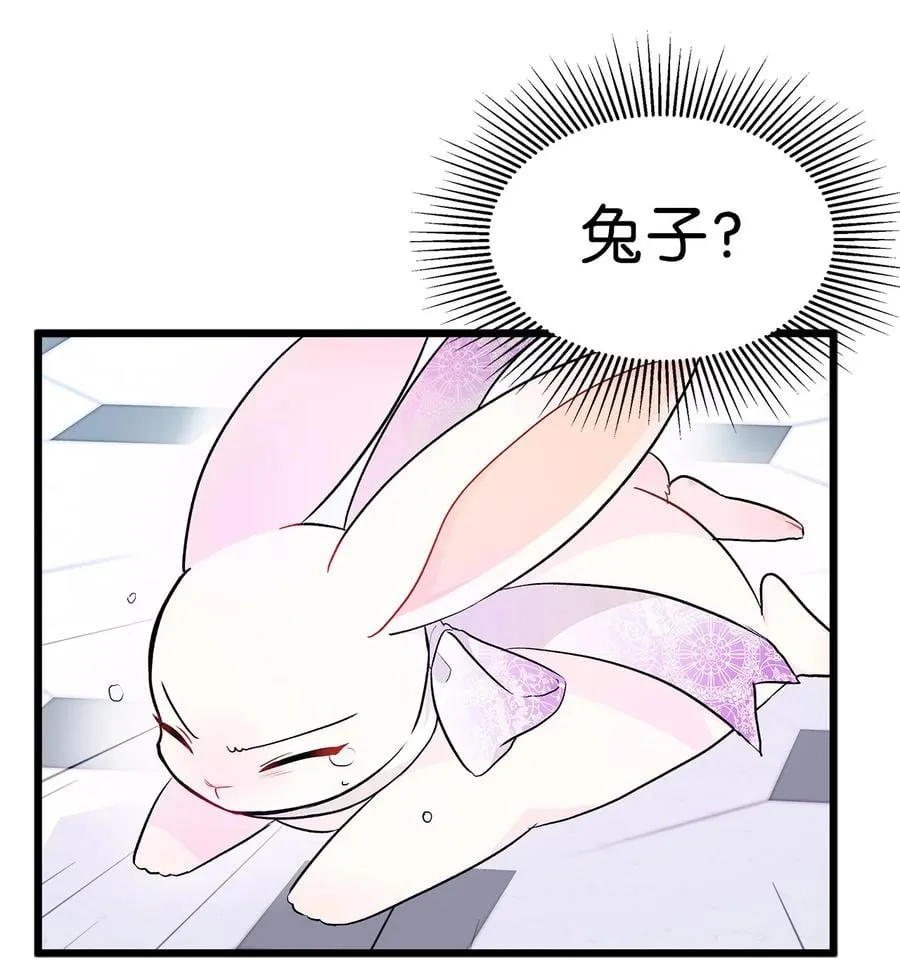 20 西湖醋豹 第6页