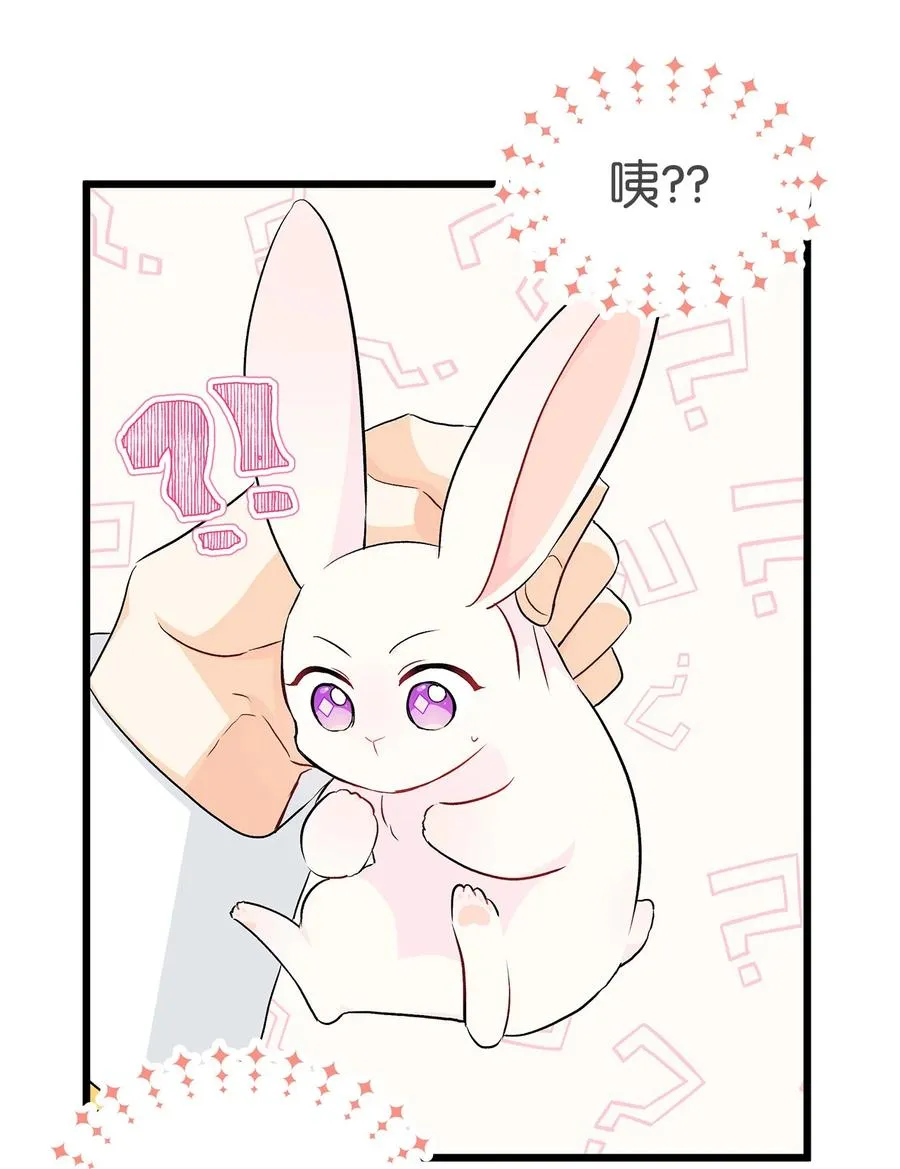 21 胆敢偷我兔子 第18页