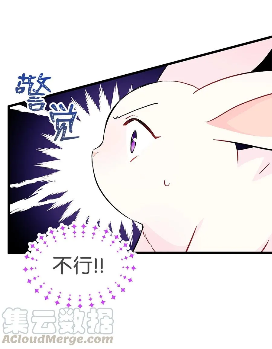 21 胆敢偷我兔子 第31页