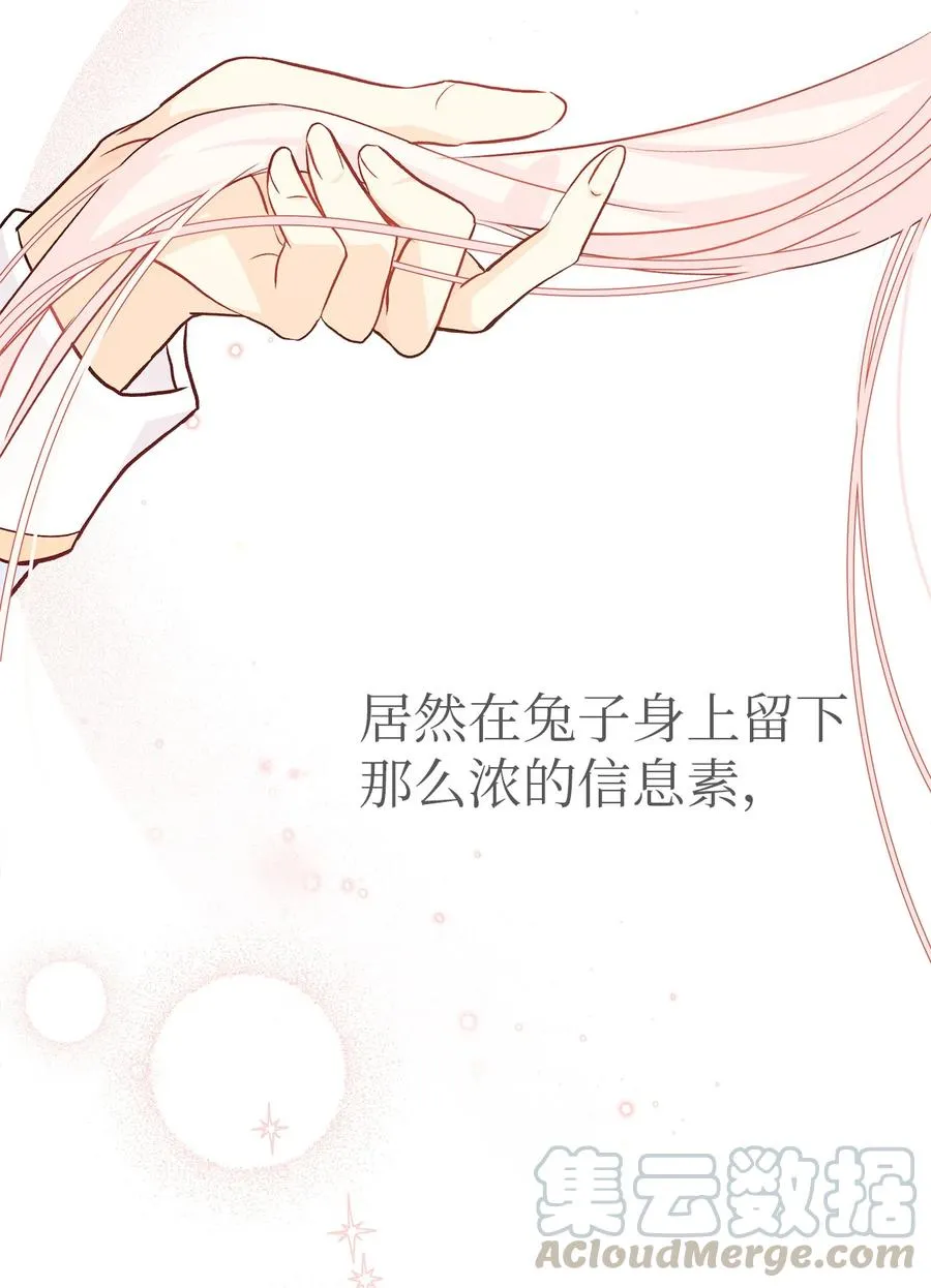 21 胆敢偷我兔子 第64页