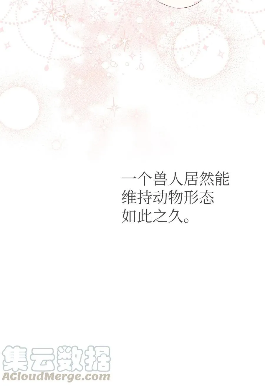 21 胆敢偷我兔子 第73页