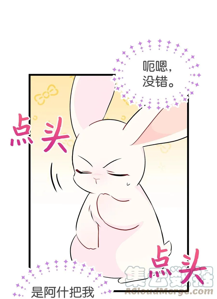 25 兔兔会变禽兽 第25页