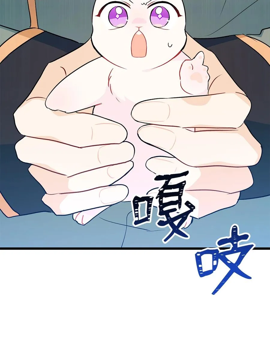 27 兔子又跑了 第39页