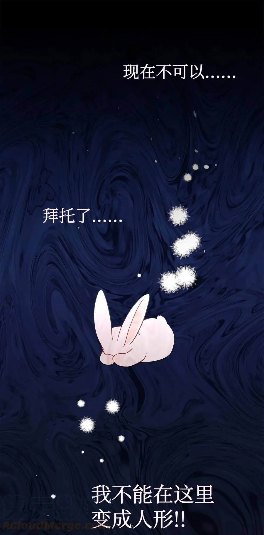27 兔子又跑了 第64页