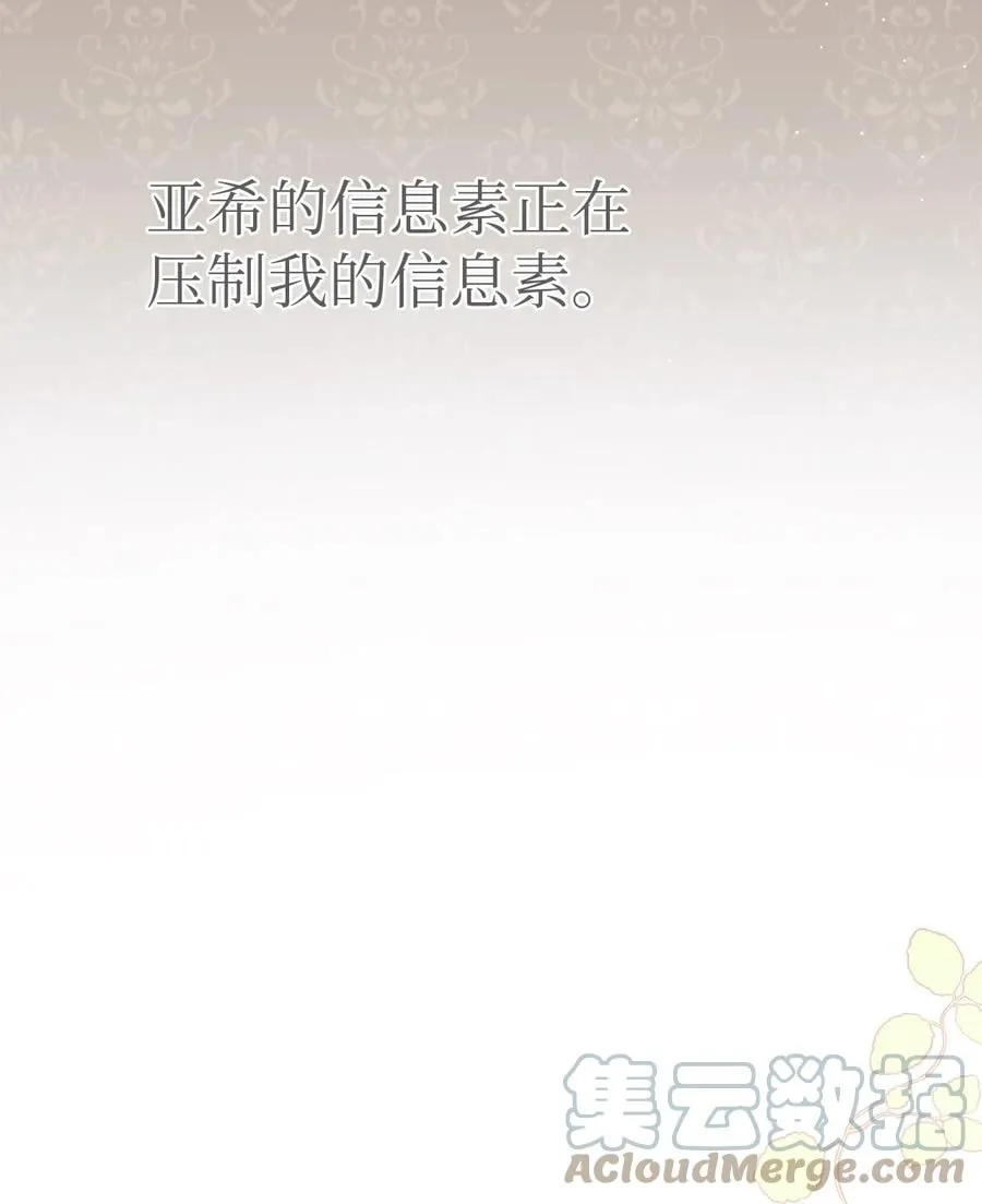 40 支配系 第13页