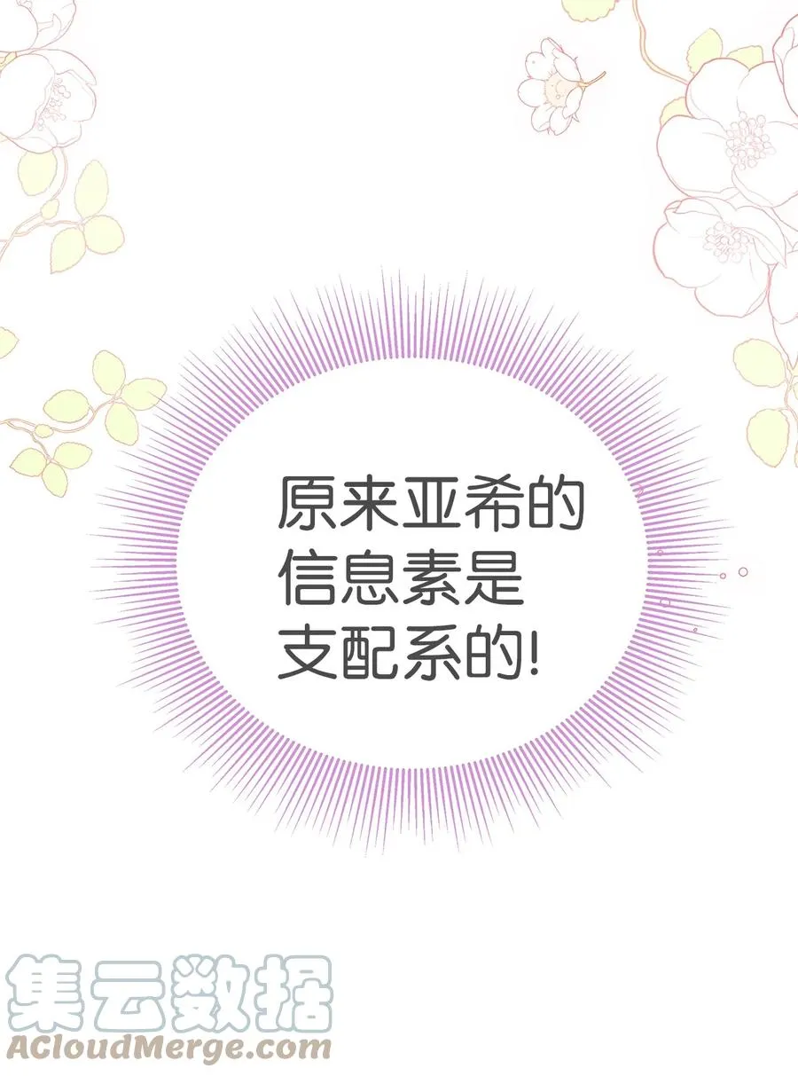40 支配系 第16页