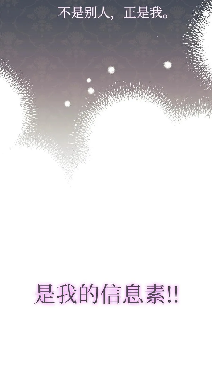 40 支配系 第21页