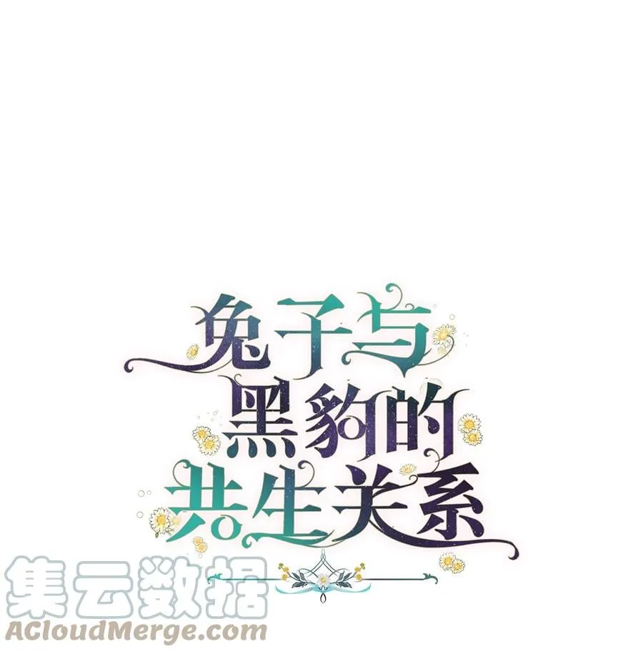 40 支配系 第28页