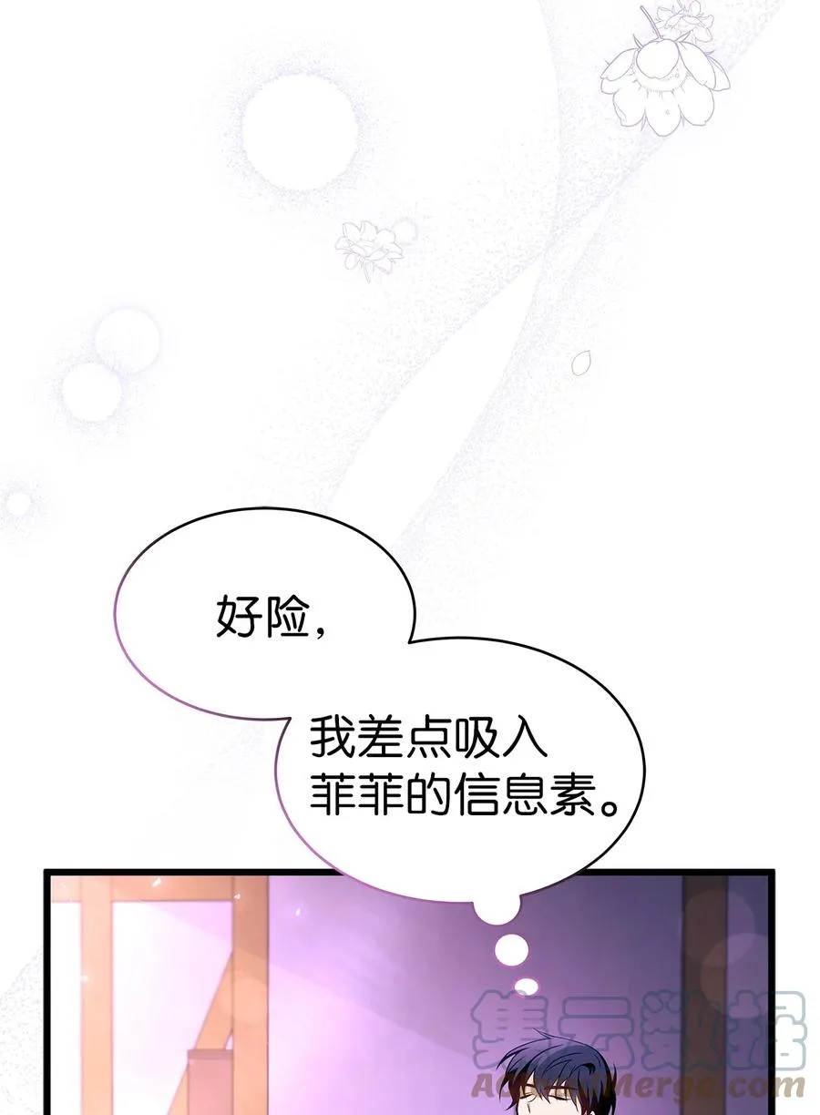 40 支配系 第37页