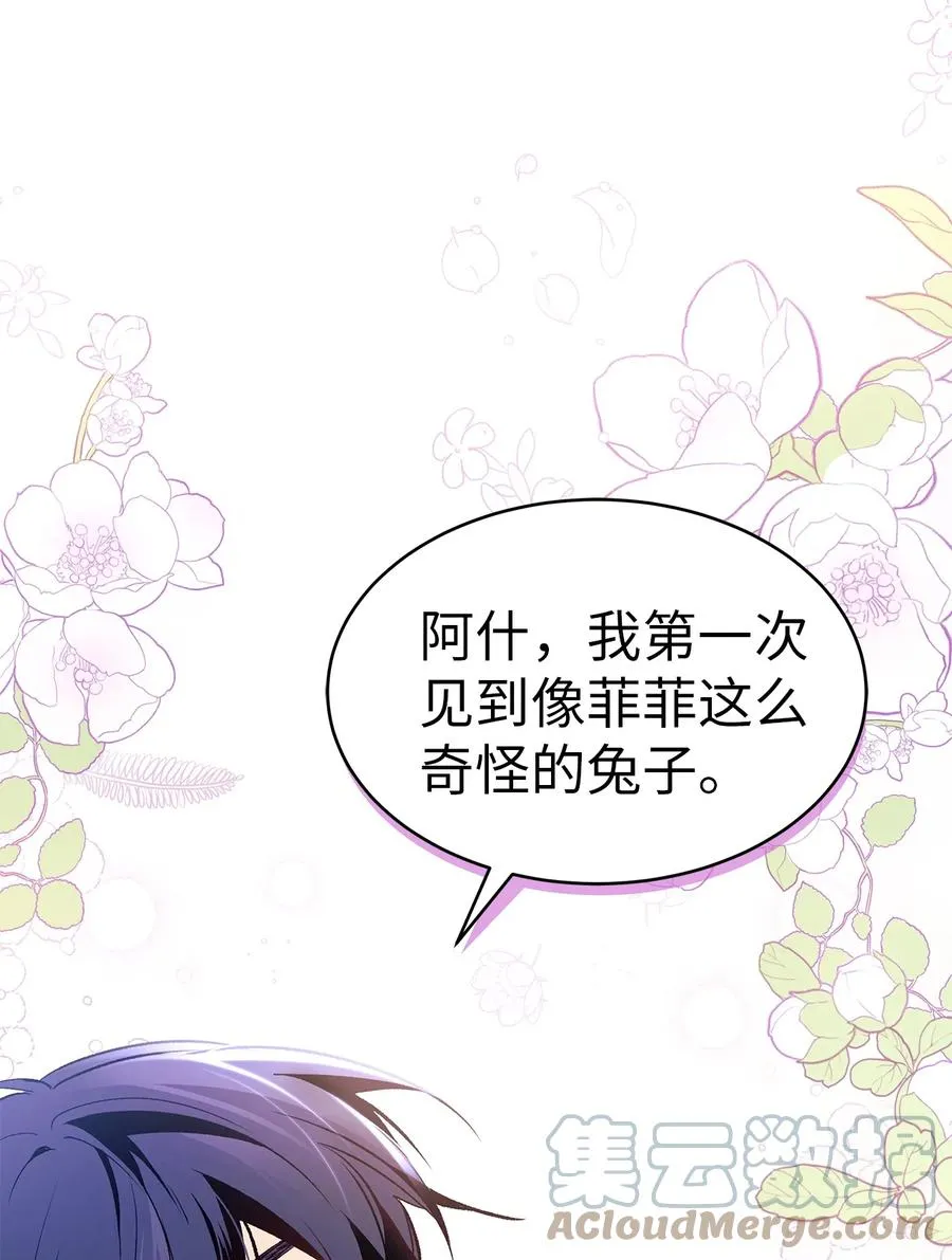 40 支配系 第91页