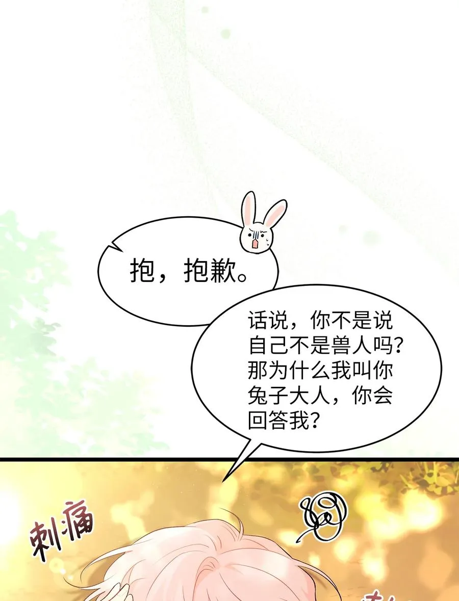 42 这头狮子坏得很 第11页