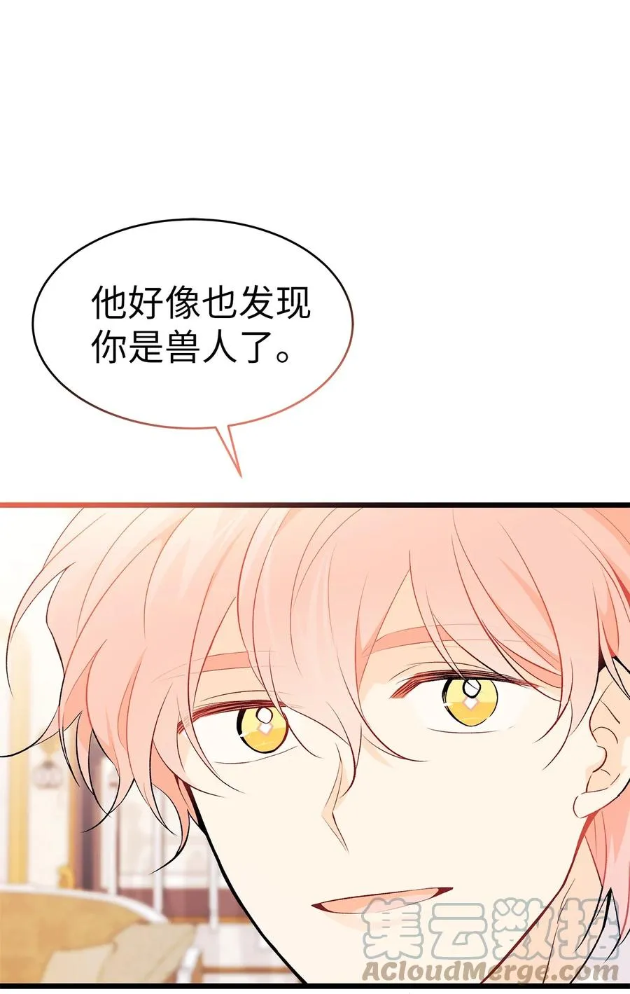 42 这头狮子坏得很 第81页