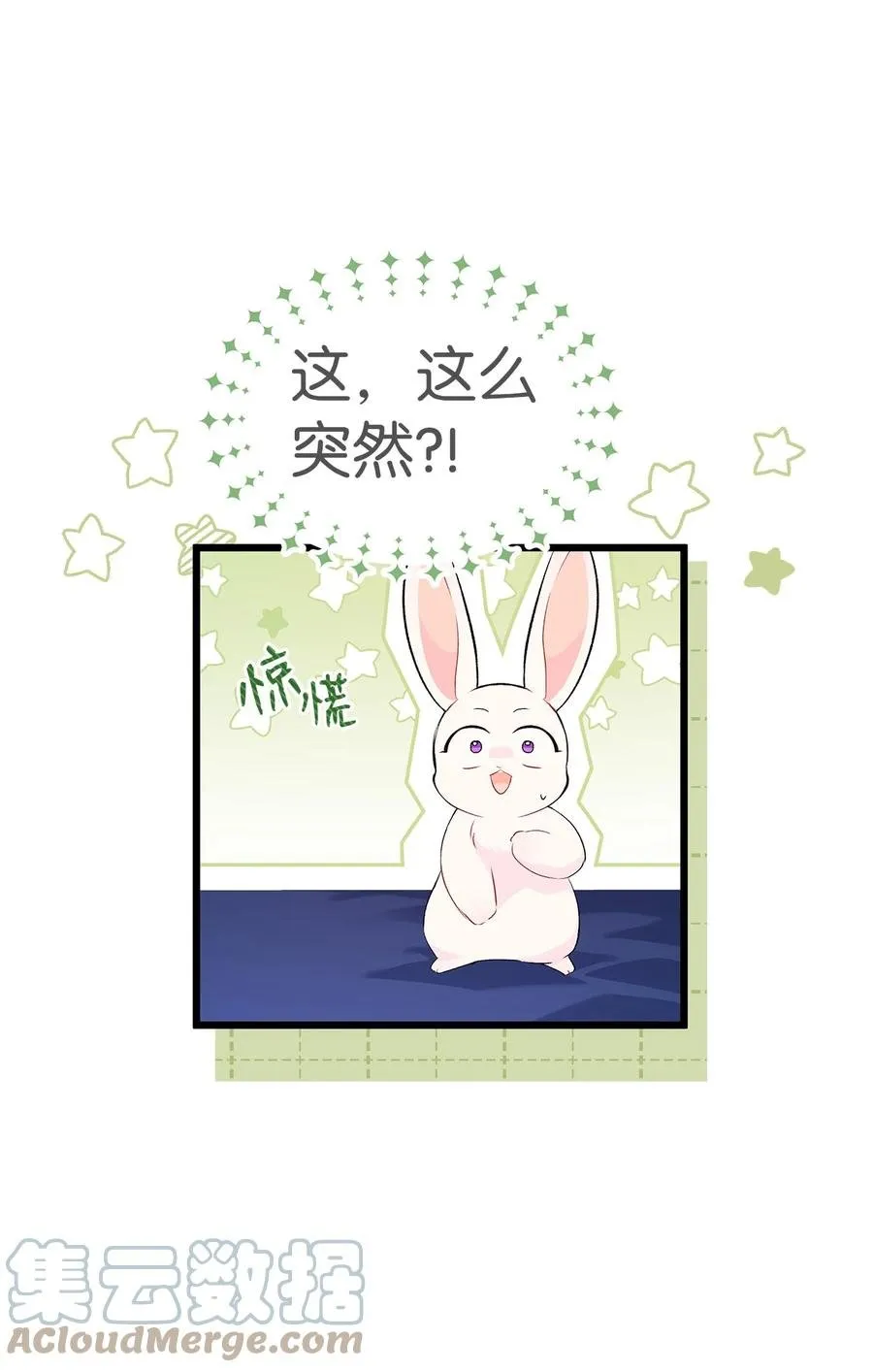 47 王者兔兔 第13页