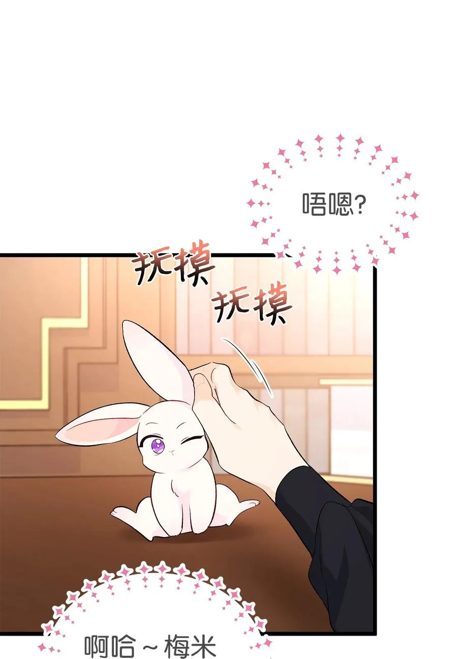 47 王者兔兔 第60页