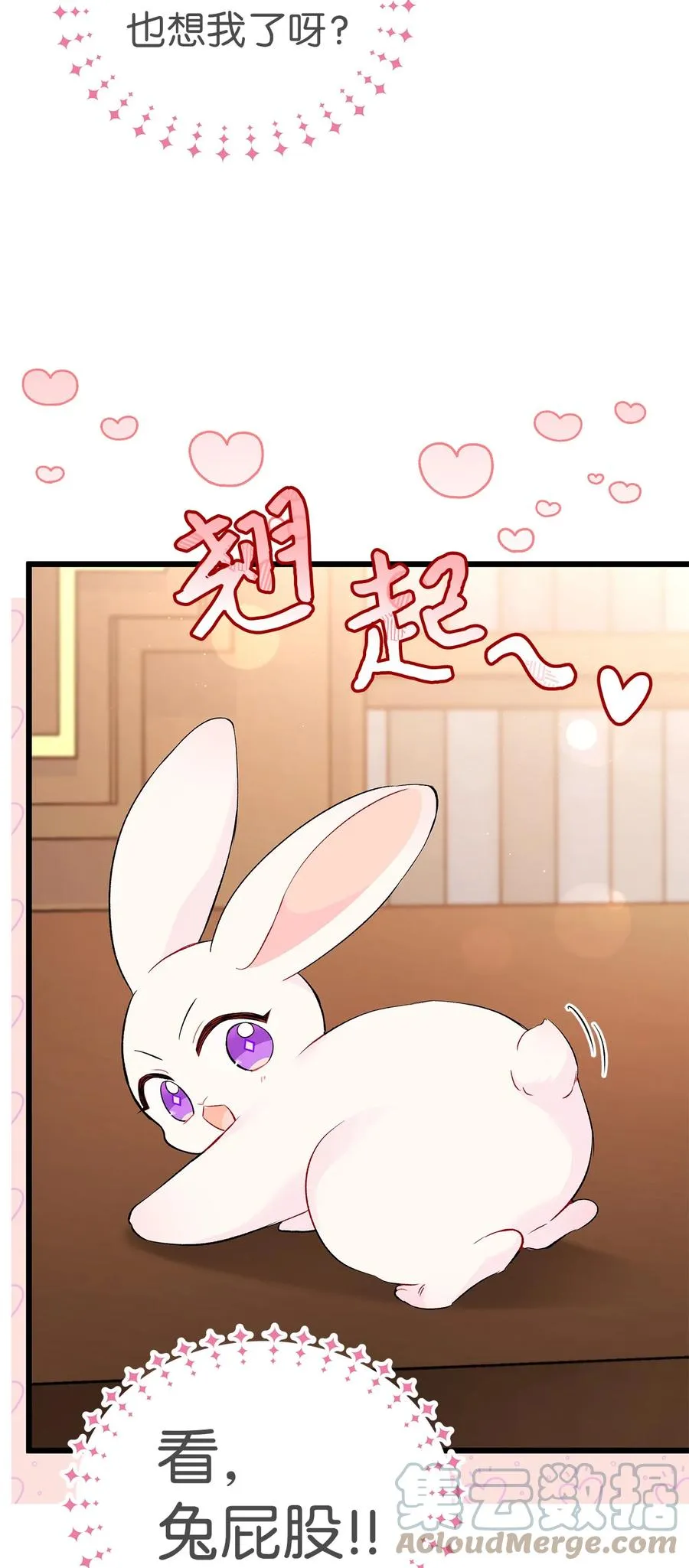 47 王者兔兔 第61页