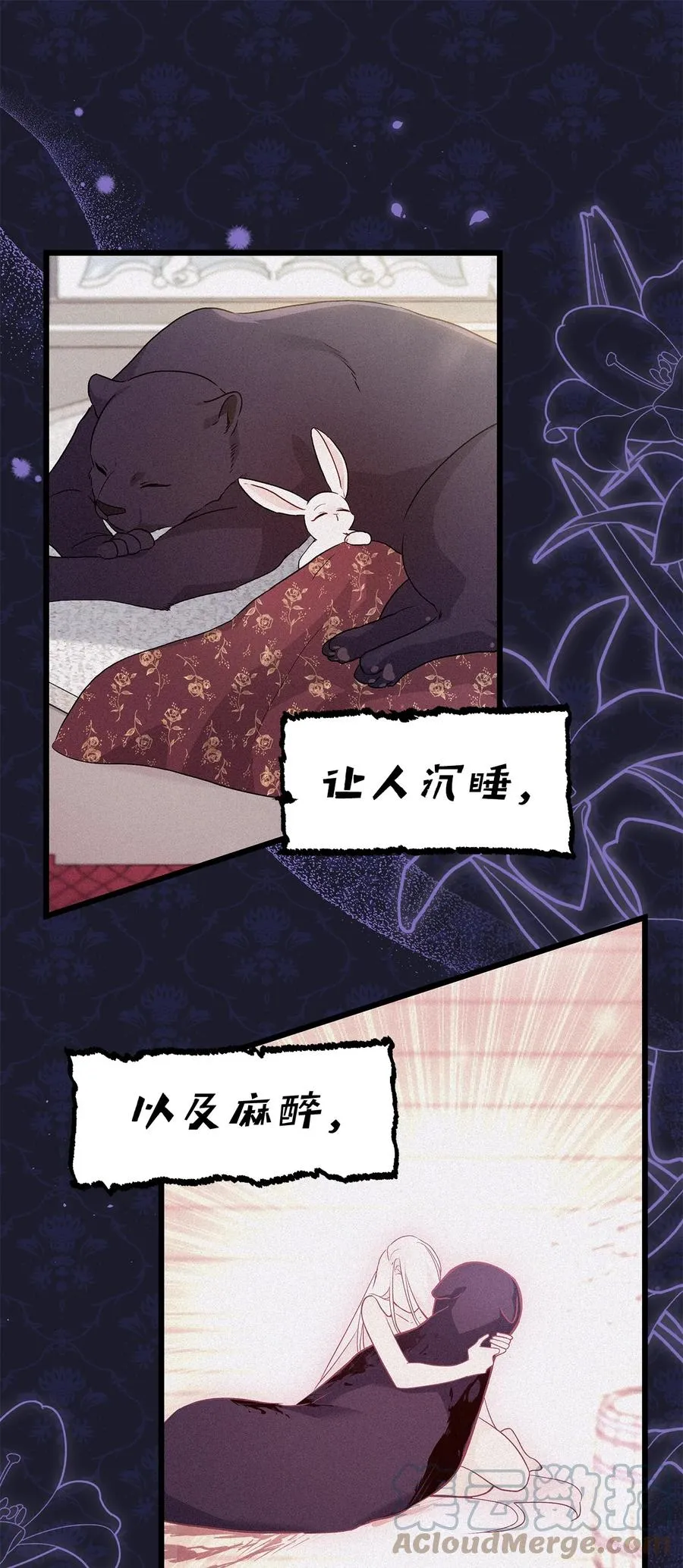 47 王者兔兔 第70页