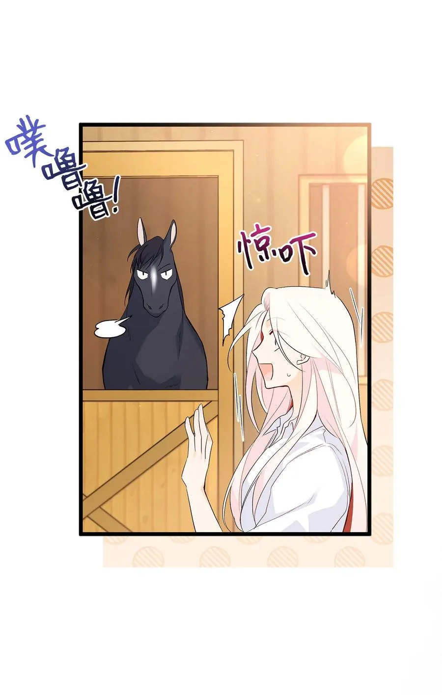 49 宠物都像主人 第12页