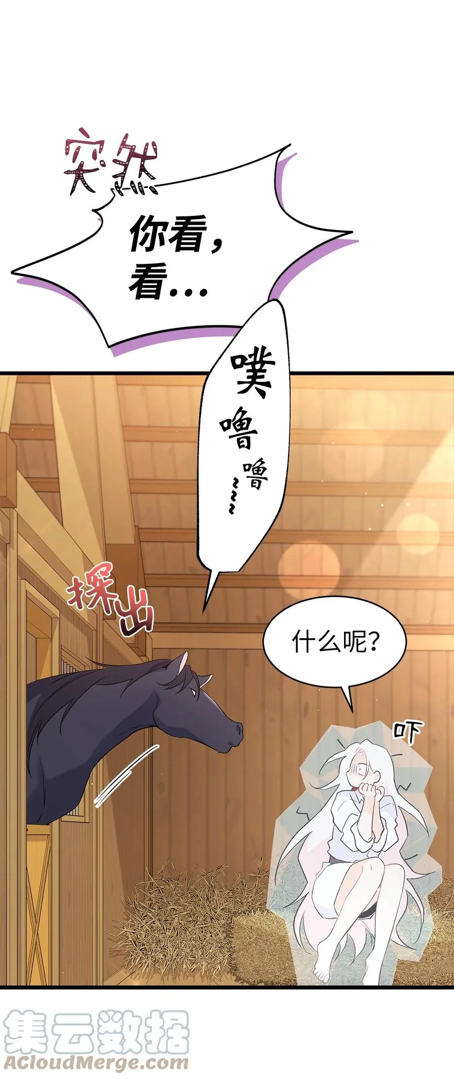 49 宠物都像主人 第16页