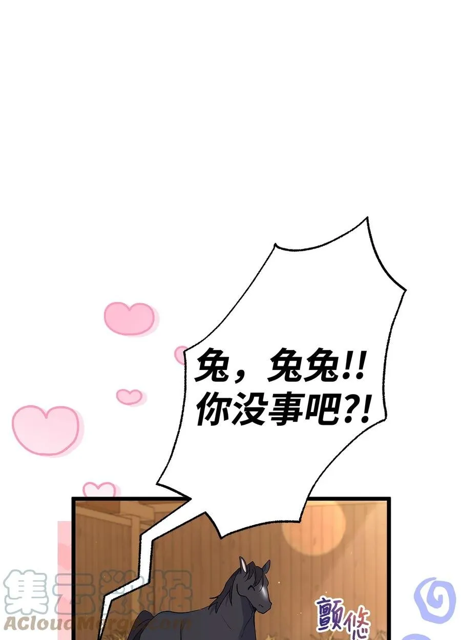 49 宠物都像主人 第25页