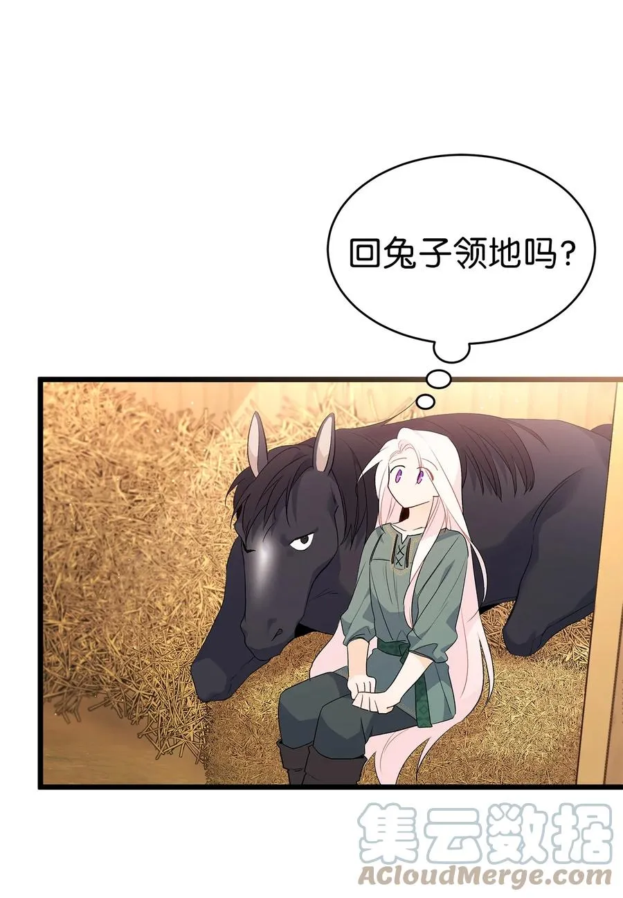 49 宠物都像主人 第43页