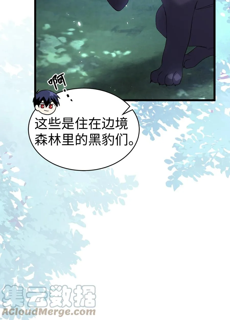 51 菲菲会走吗？ 第19页