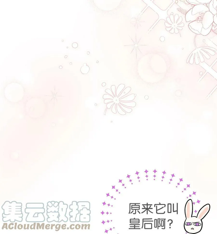 55 兔子又劈腿 第13页