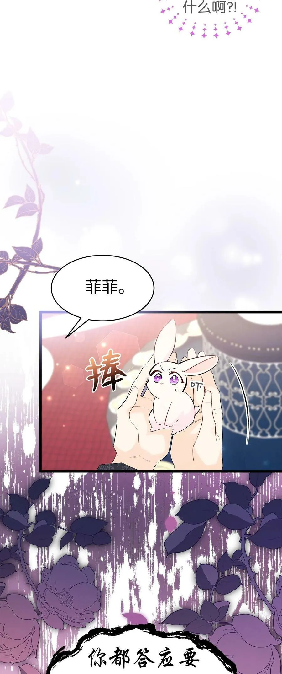 55 兔子又劈腿 第26页