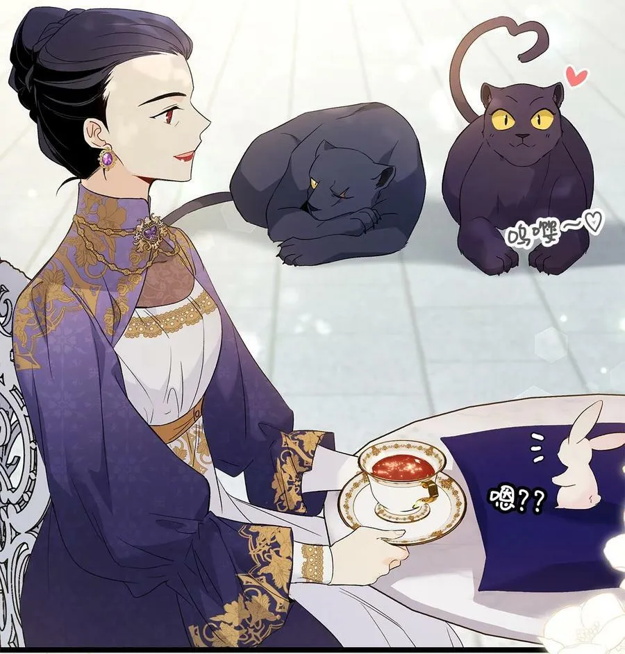 56 猫猫都喜欢箱子 第11页