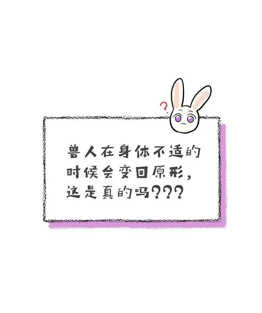 56 猫猫都喜欢箱子 第31页