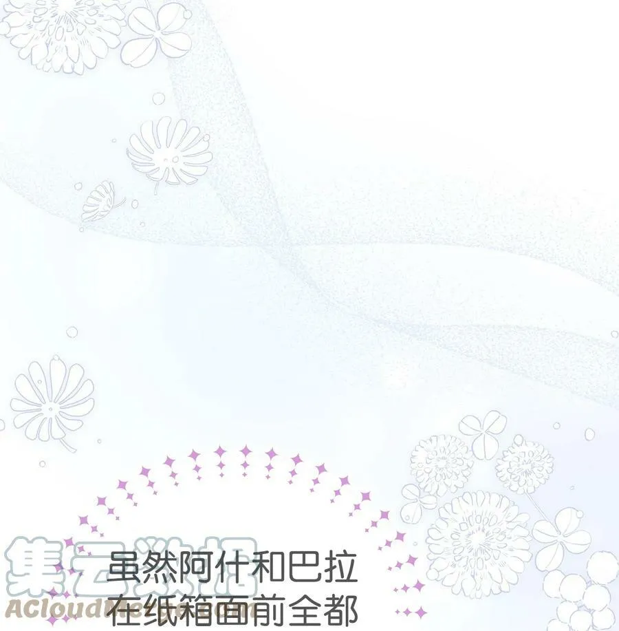 56 猫猫都喜欢箱子 第41页